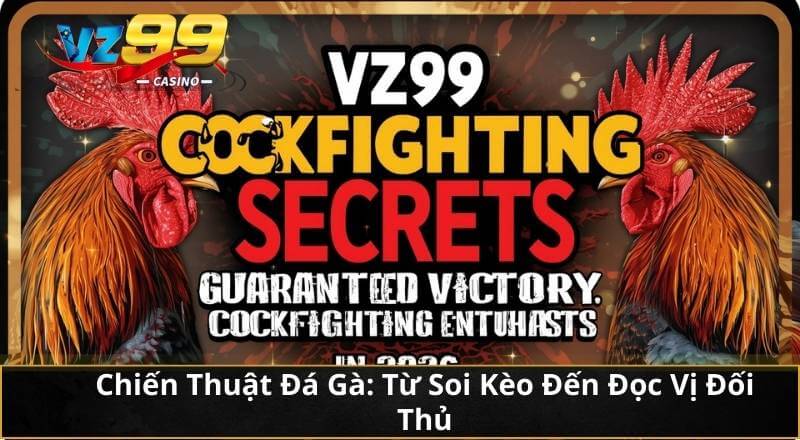 Bí Quyết Đá Gà VZ99: Bách Chiến Bách Thắng Cho Kê Thủ 2026 5 Chiến Thuật Đá Gà: Từ Soi Kèo Đến Đọc Vị Đối Thủ