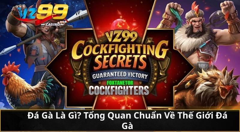 Bí Quyết Đá Gà VZ99: Bách Chiến Bách Thắng Cho Kê Thủ 2026 2 Đá Gà Là Gì? Tổng Quan Chuẩn Về Thế Giới Đá Gà
